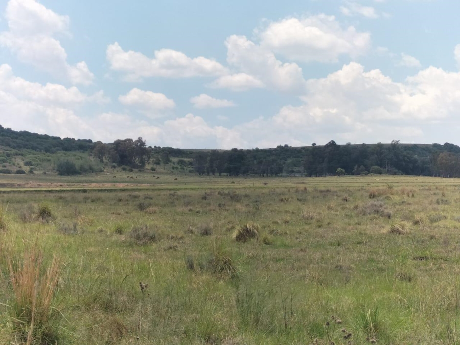 0 Bedroom Property for Sale in Bethlehem Rural Free State